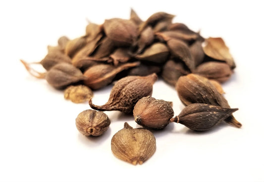 Lian Qiao Qing (Dai Zi/With Seeds)